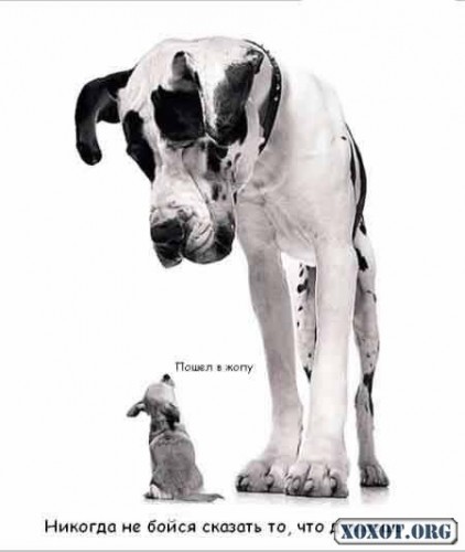 Всегда уважай себя!:))