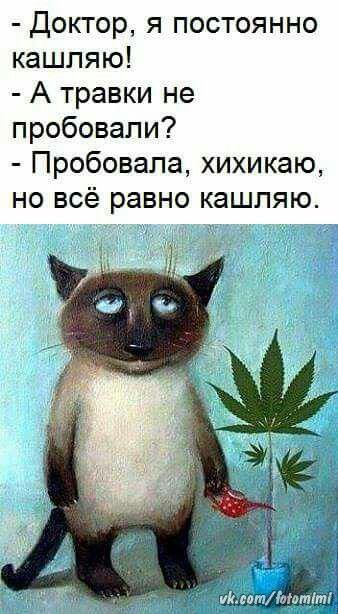 Лекарство и лечение