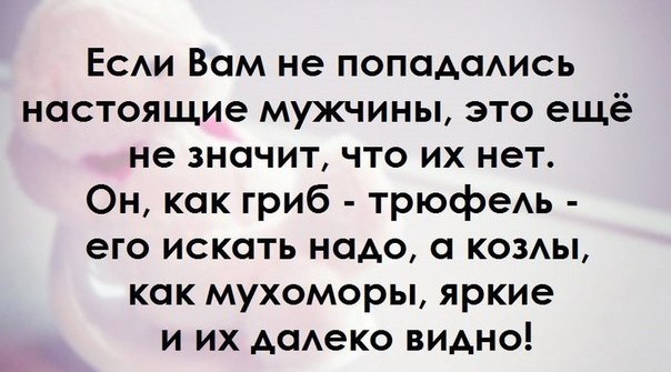 Прикольные картинки с текстом