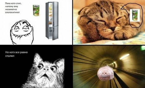 Смешные интернет комиксы