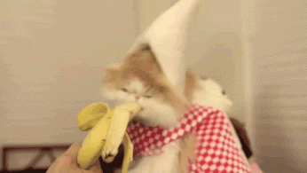 Любитель бананов