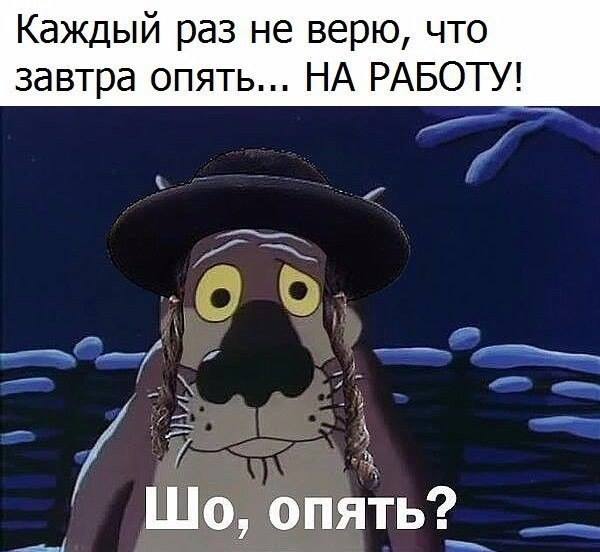 Шо, опять?