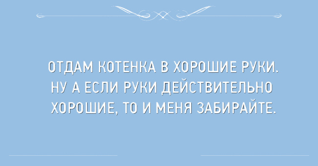 Милые картинки с текстом