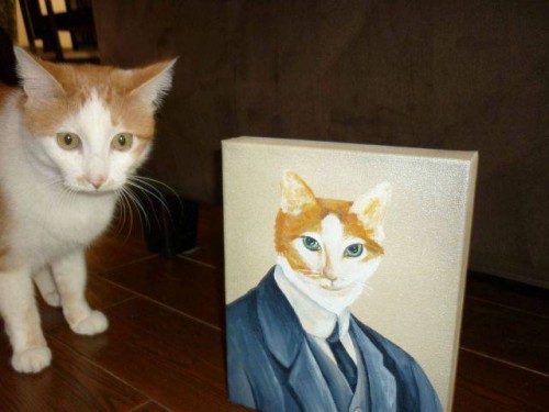 Супер приколы про котов