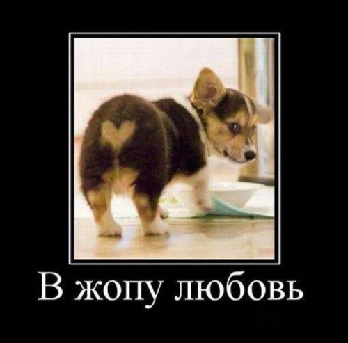 Прикольные демотиваторы