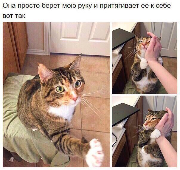 это любовь!