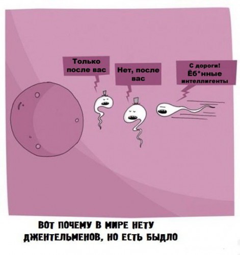 Откуда берется быдло?