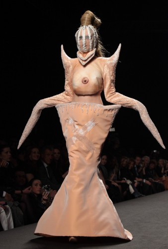 Куры нынче в моде