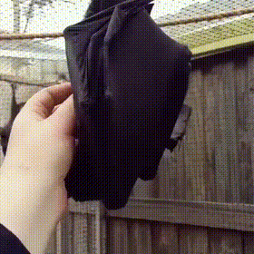 Милое создание