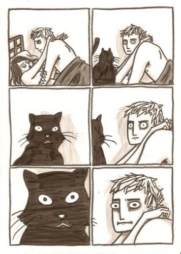 Прикол про кота