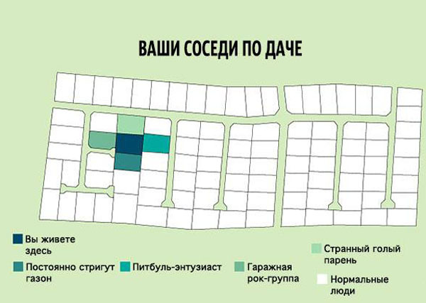 Интересные факты из каждодневной жизни