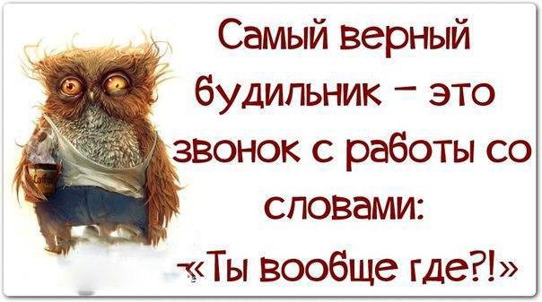 Подборка картинок с текстом