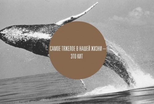 Прикол про жизнь