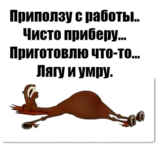 Каждый день одни и те же планы