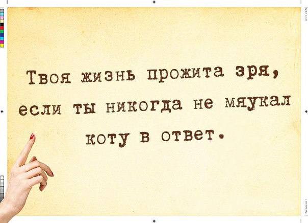 Прикольные картинки с текстом