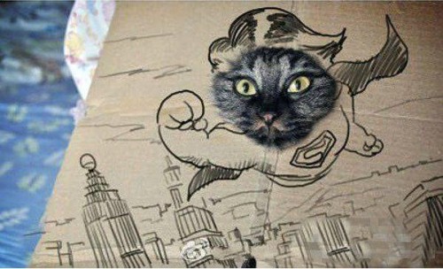 Креативный прикол про кота