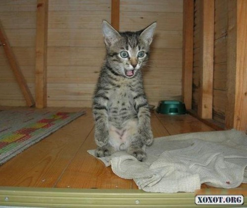 Ну вы блин даете!