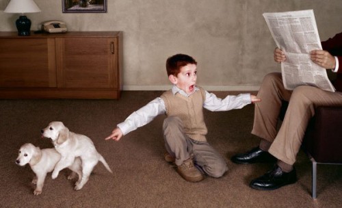 Фотоприколы на выходные