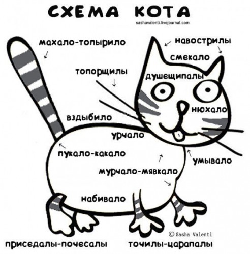 Блок-схема котэ