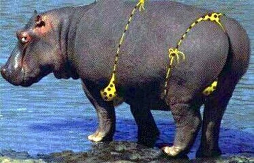 Женщины они такие женщины