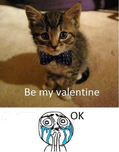 Кото валентинка