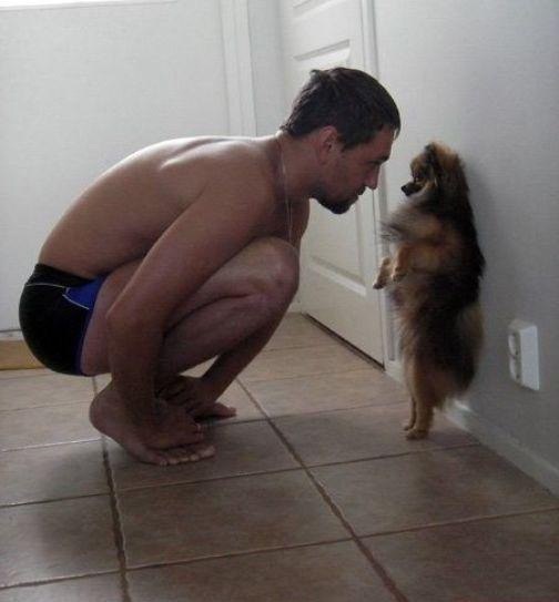 Прикольные собаки