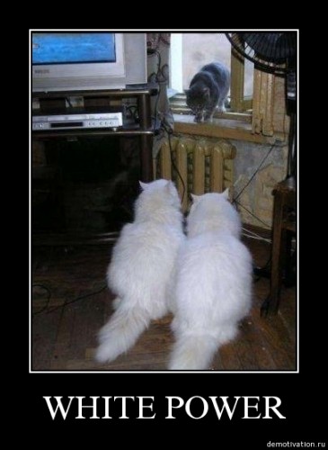 Спускайся образина!