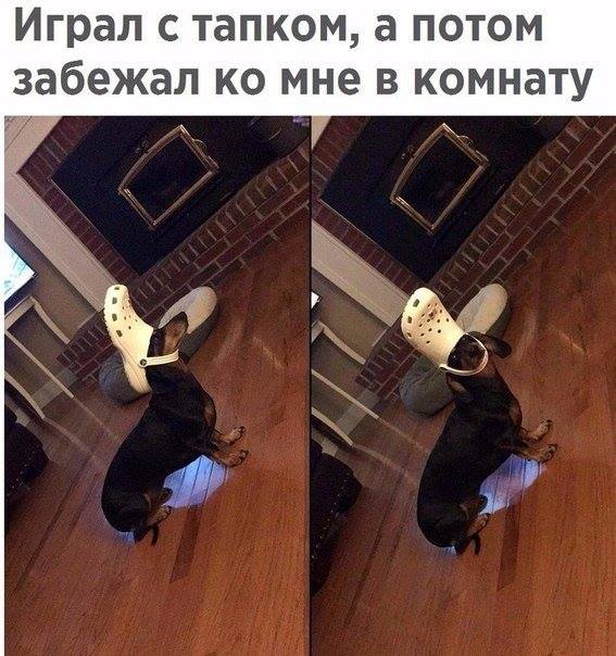 Странствующий рыцарь в "доспехах"