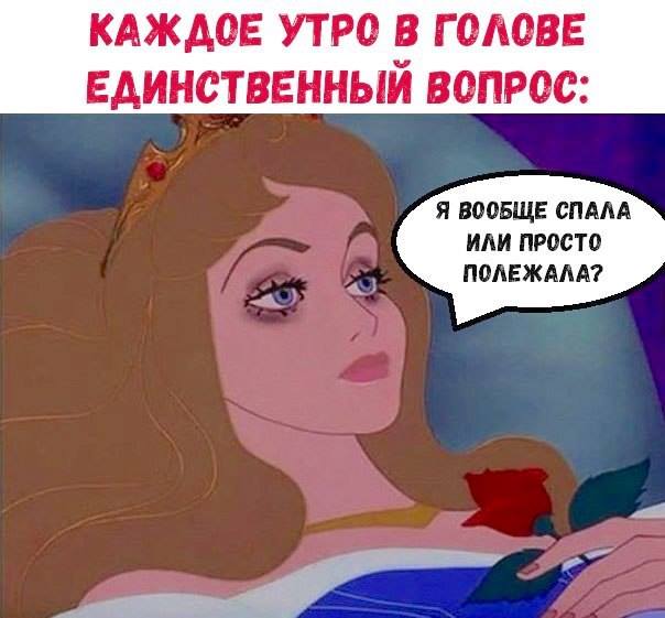 Каждое утро одно и то же