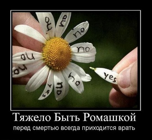 Демотиватор про любовь