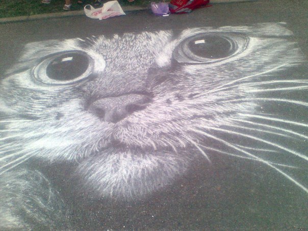 Котэ, нарисованный мелками
