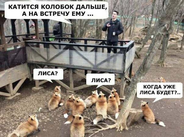 Колобок и лиса