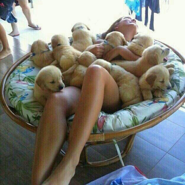 "Что может быть лучше замужества и трёх детей?!" Ну, например: