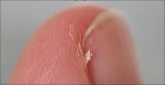 Вещи которые бесят всех