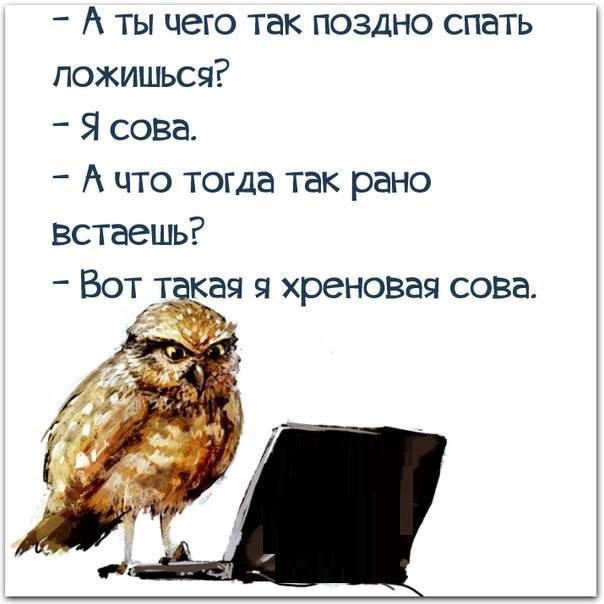 Прикольные картинки с текстом