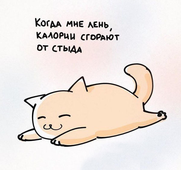 Котик дело говорит