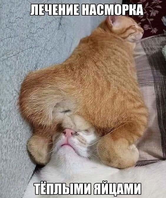 Лечение насморка