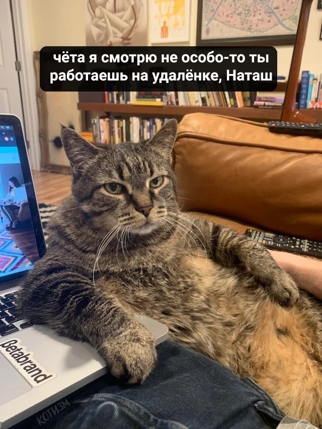 Если ты надеялась, что дома тебя будут меньше контролировать, то нет