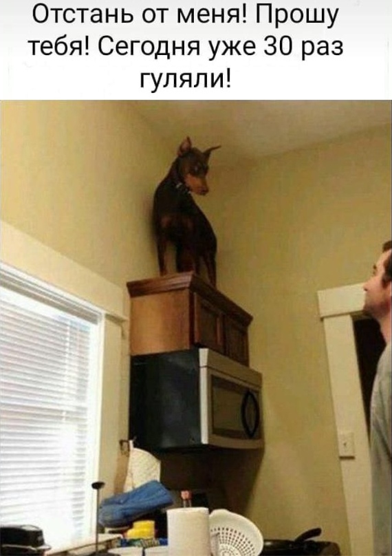 Коронавирус и прогулки