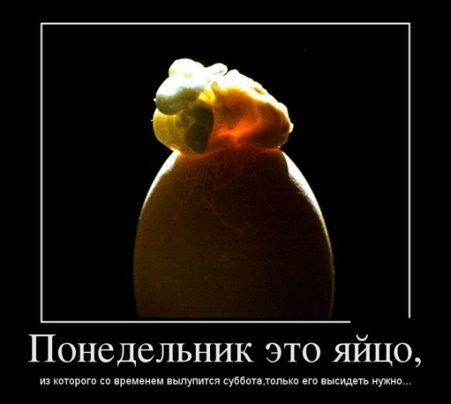 Демотиватор про рабочую неделю