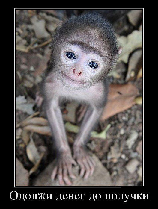 Демотиватор про зарплату