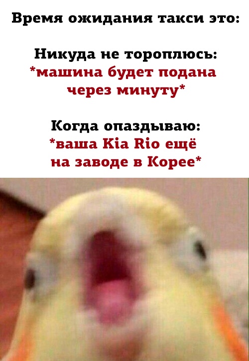 Когда опаздываешь