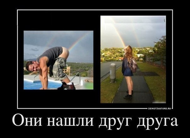 Демотиватор про идеальную пару