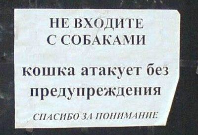 Обходите котов стороной!