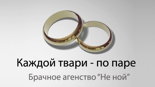 Картинка про брачное агентство