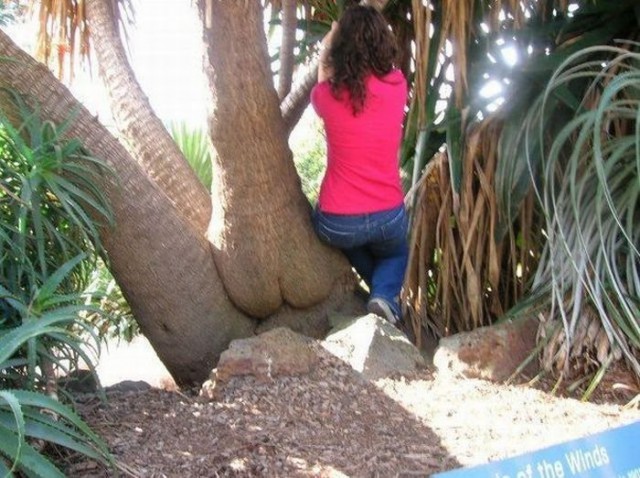 Фотоприколы на понедельник