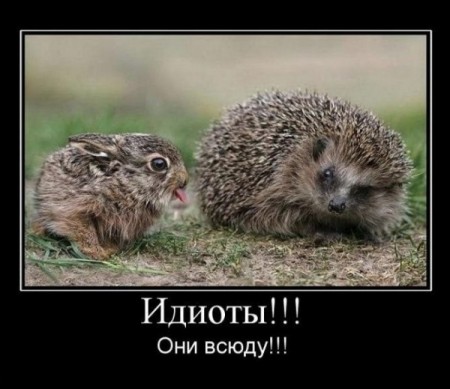 Идиот!