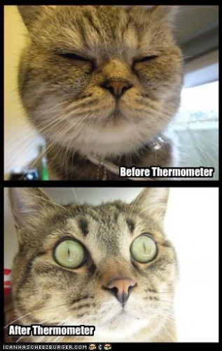 "До" и "После"