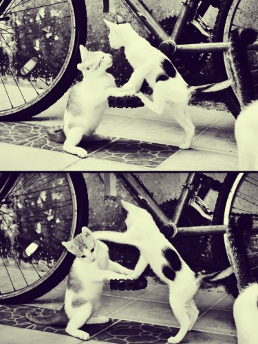 Танцуй со мной, потанцуй со мной!