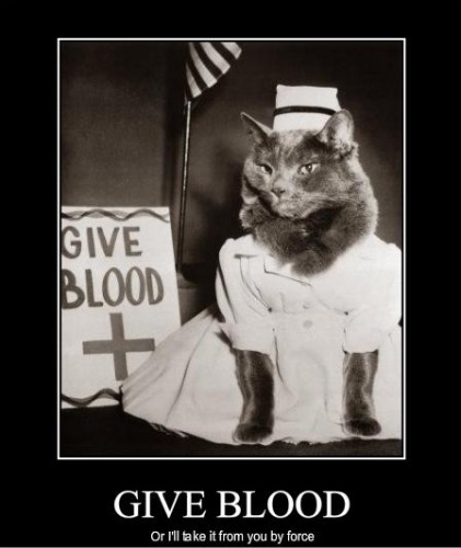 сестрицо милосердия. отдел 